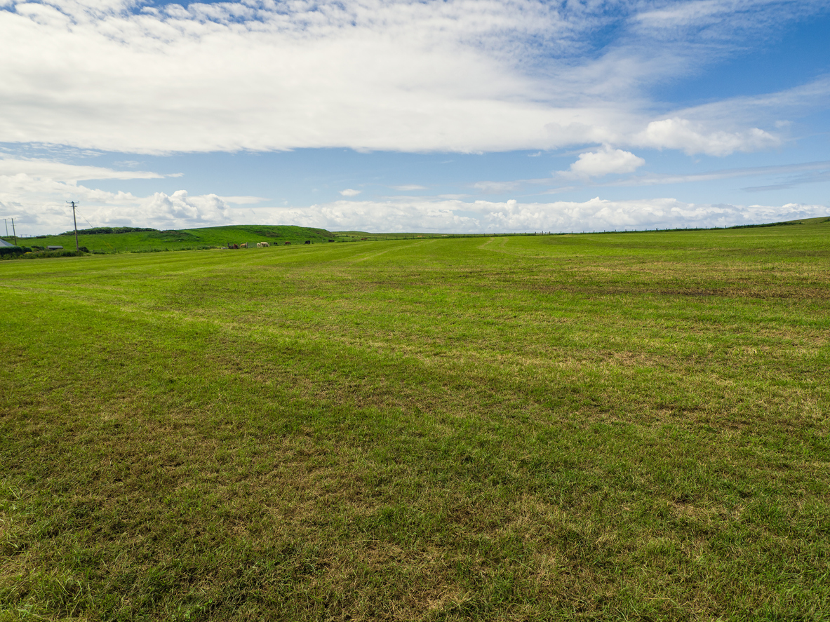 Nowe regulacje w zakresie planowania i zagospodarowania przestrzennego
